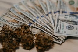 an image of Deutsche Bank Appointed Successor Depositary for CSL Limited