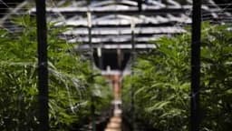 Stocks Shift to Negative Territory for the Year