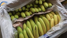 an image of Lower Tariffs to Ease Coffee, Banana Prices? Experts Weigh