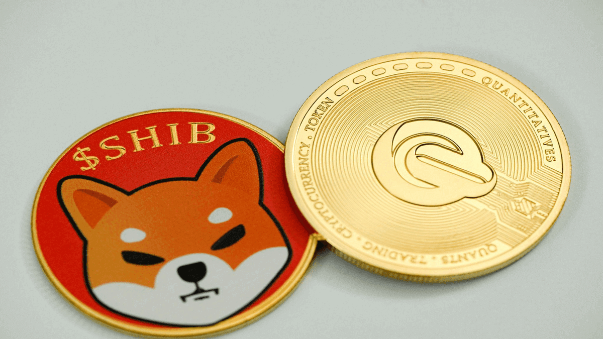 an image of shiba-inu-coin-and-shiba-inu-dog-icon-coin-side-by-side