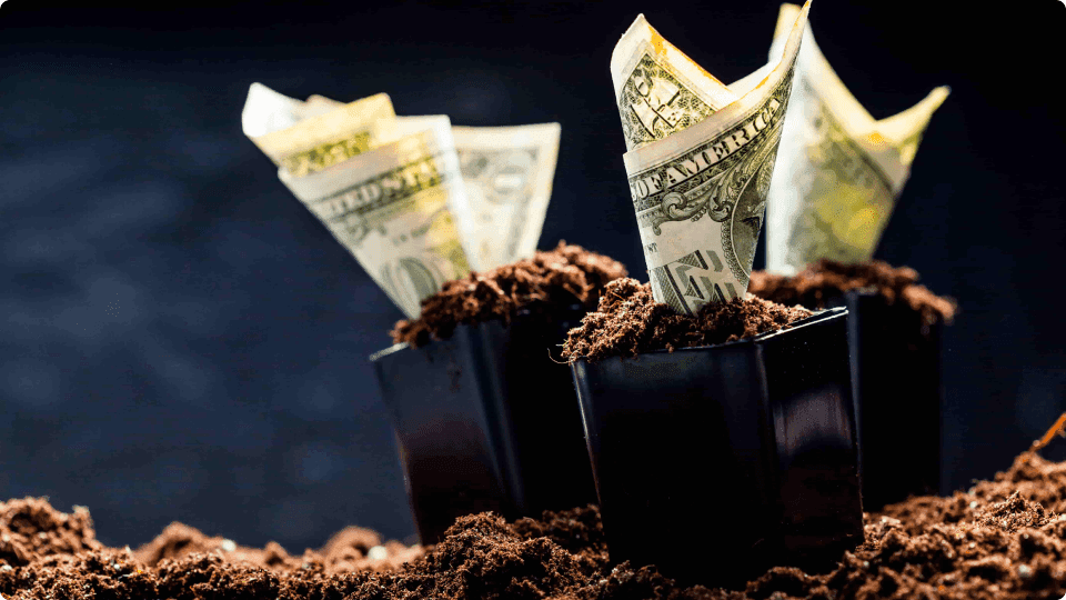 an image of Dollar bills growing out of plant pots